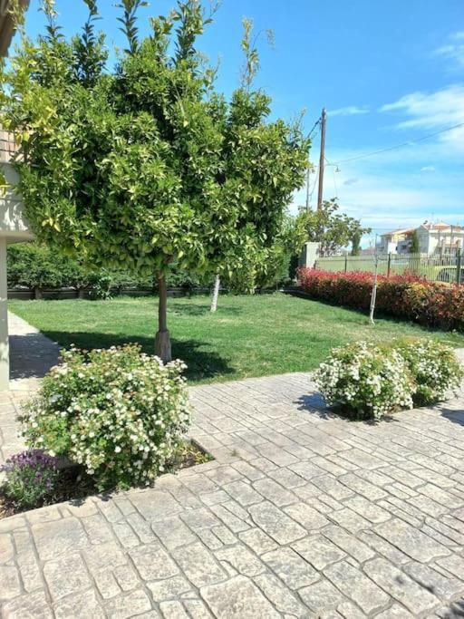 Gaia Cottage With Garden Epanomi Exterior foto