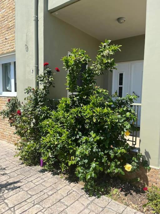 Gaia Cottage With Garden Epanomi Exterior foto